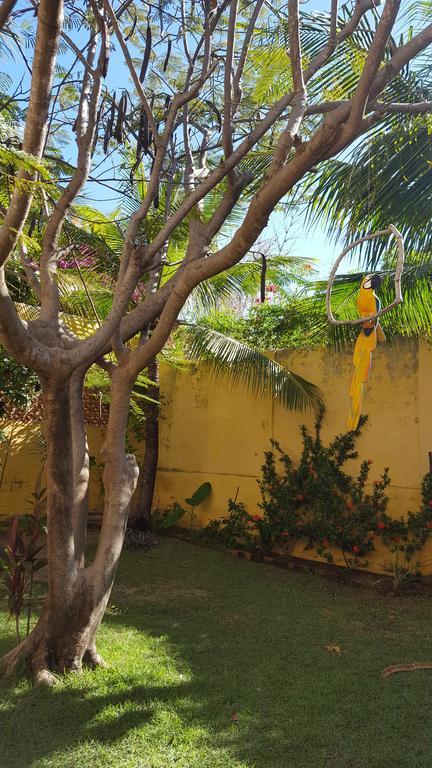 Pousada Agua Marinha Canoa Quebrada Exterior photo